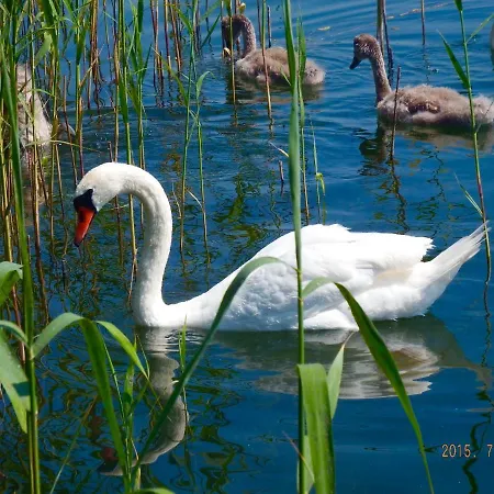 山林小屋 Wiking 克雷托维尼
