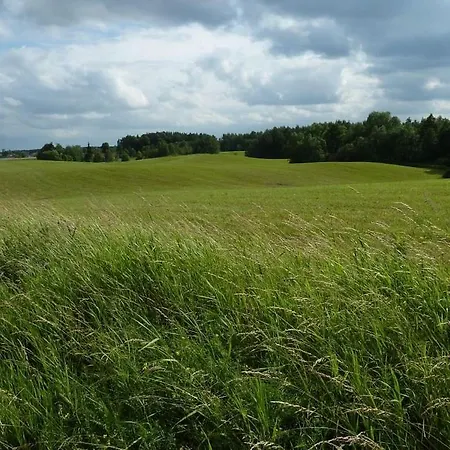 Wiking *