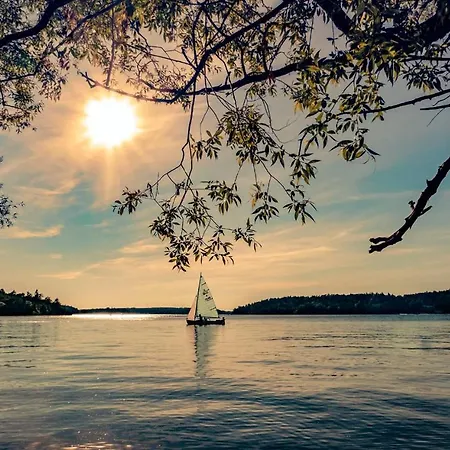 Wiking * 克雷托维尼