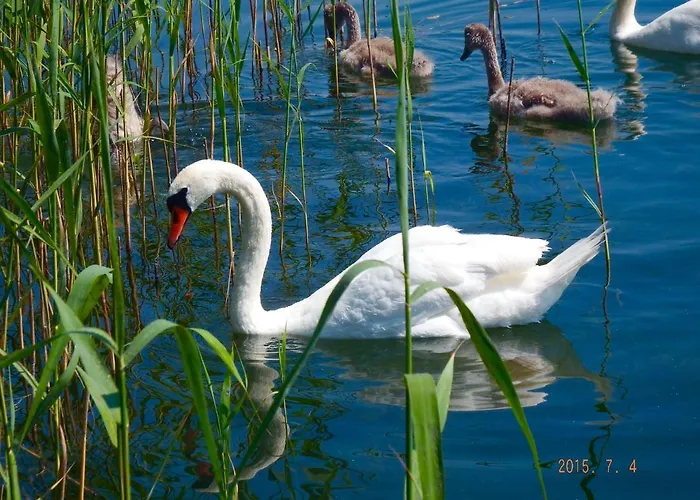 Lodge Wiking Kretowiny